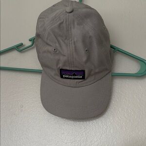 Patagonia Classic Gray Baseball Cap